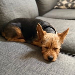 Meet your Posher, Manuel